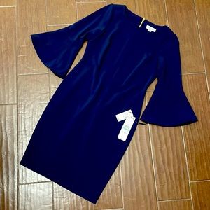 Calvin Klein Navy Dress with Bell Sleeves (Size 8P)
